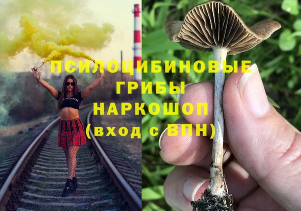 СК Костерёво
