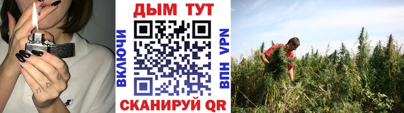 МАРИХУАНА план  Купить  Касимов 